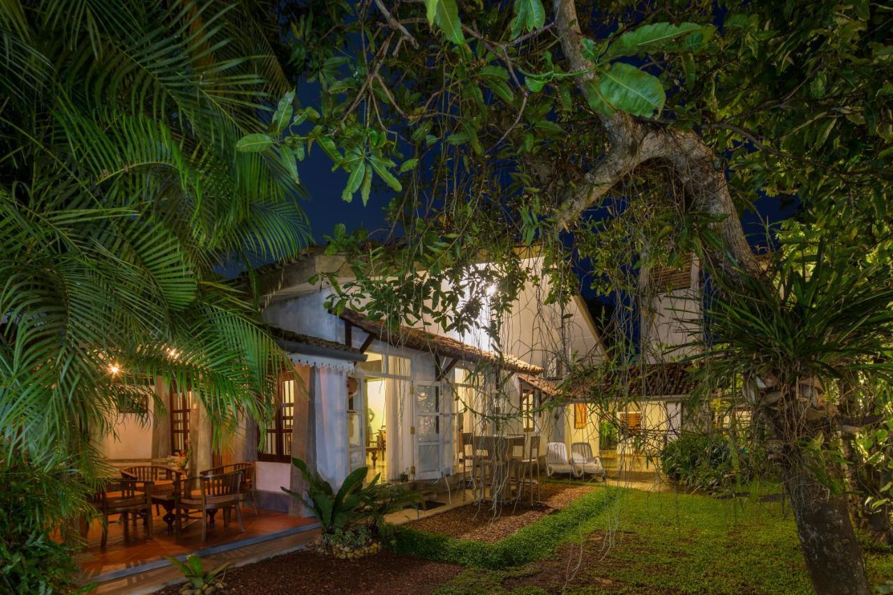 Hotel Bilin Tree House Galle Exterior foto